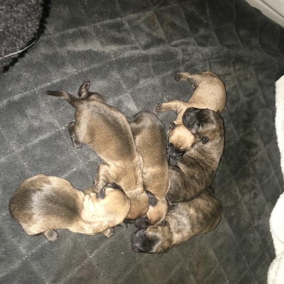 Meet your Posher, Elizabeth - Picture 8 of 16